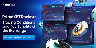 Understanding the PrimeXBT Bot A Guide for Traders Understanding the PrimeXBT Bot A Guide for Traders